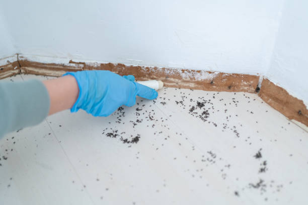 Best Residential Pest Control  in Dunthpe, OR